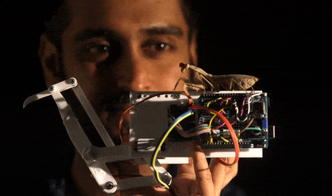 A Newcastle University engineering student developed an electronic mantis arm which mimics the distinct striking action of the insect. Credit: Newcastle University.