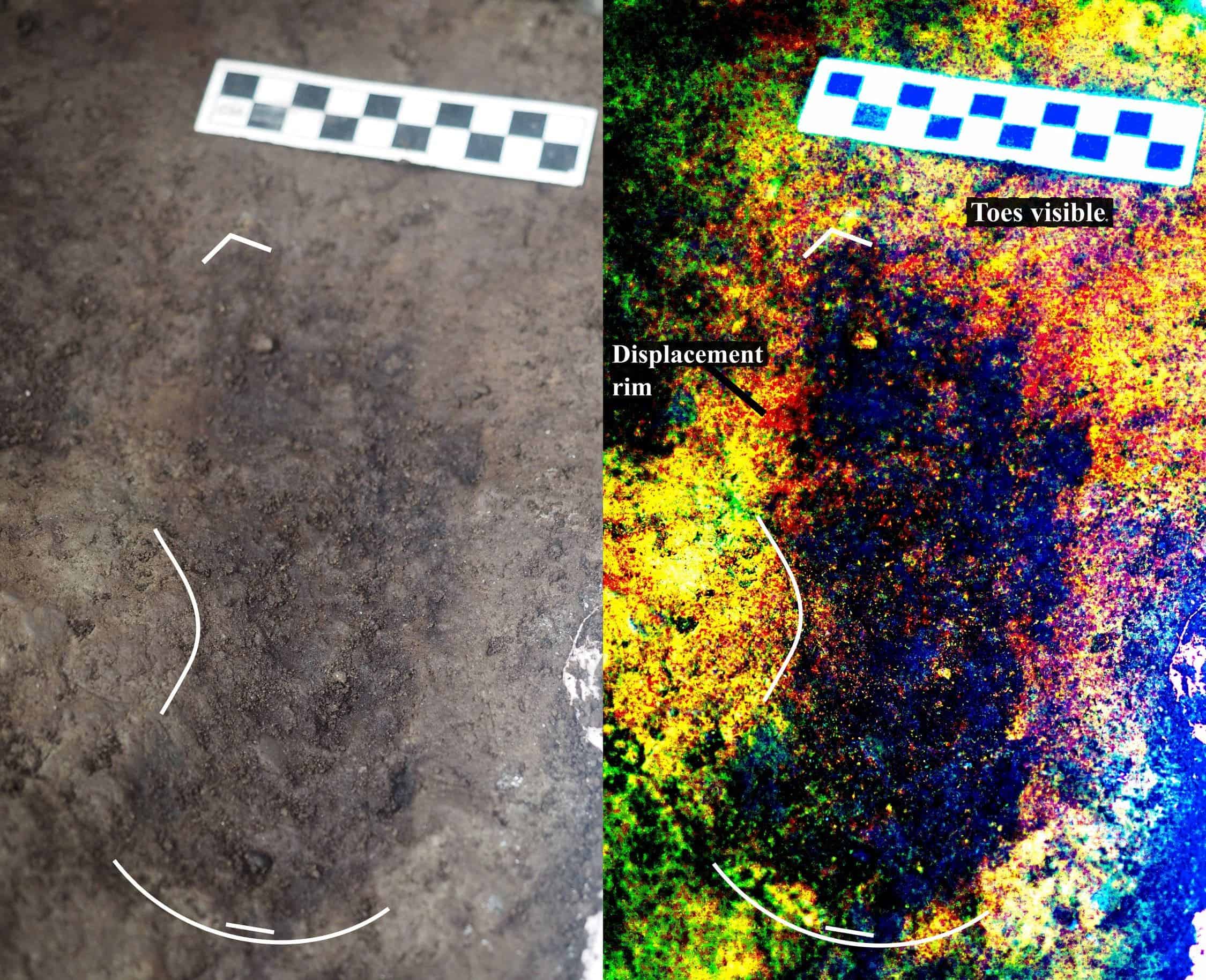 Photograph of one of the tracks beside digitally-enhanced image of same feature. Note the toe impressions and arch indicating that this is a right footprint. Image credits: Duncan McLaren.