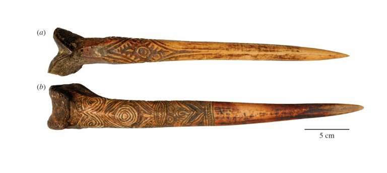 A handout picture released from researcher Nathaniel Dominy shows a human thigh bone dagger attributed to the Upper Sepik River (up) and cassowary bone dagger attributed to the Abelam people (down). Credit: Dartmouth College.