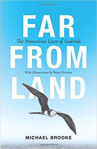 Far from Land: The Mysterious Lives of Seabirds
by Michael Brooke
Princeton University Press // 264 pp
Buy on Amazon