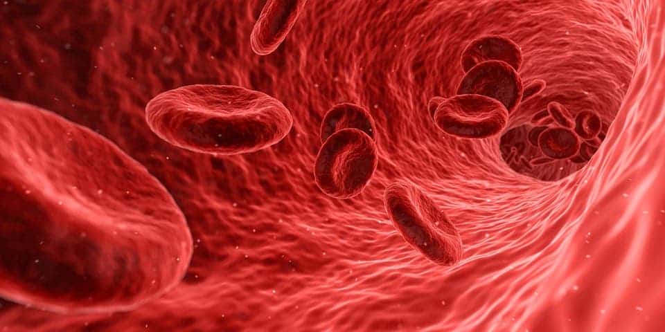 Red blood cells medical illustration
