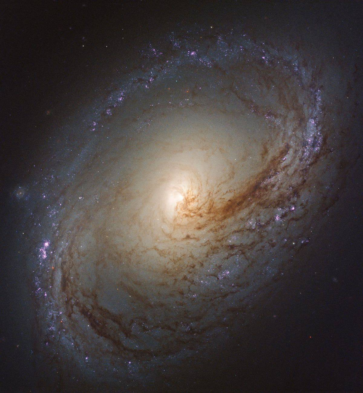 The spiral galaxy Messier 96 lies some 35 million light years away. Image credits: NASA, ESA, and the LEGUS TEAM.