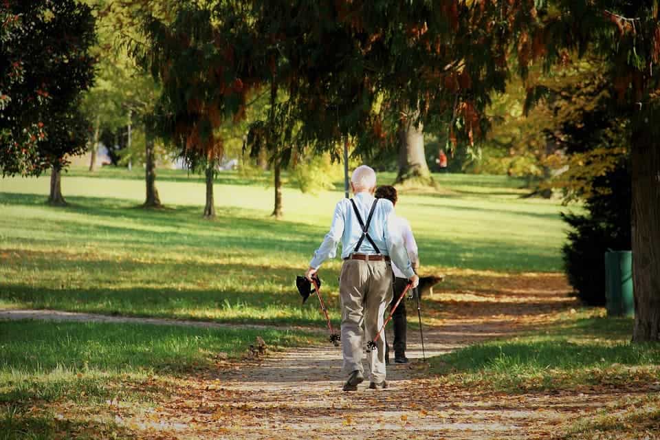 Walking was the most common type of aerobic exercise used in the studies. Image credits: Pixabay.