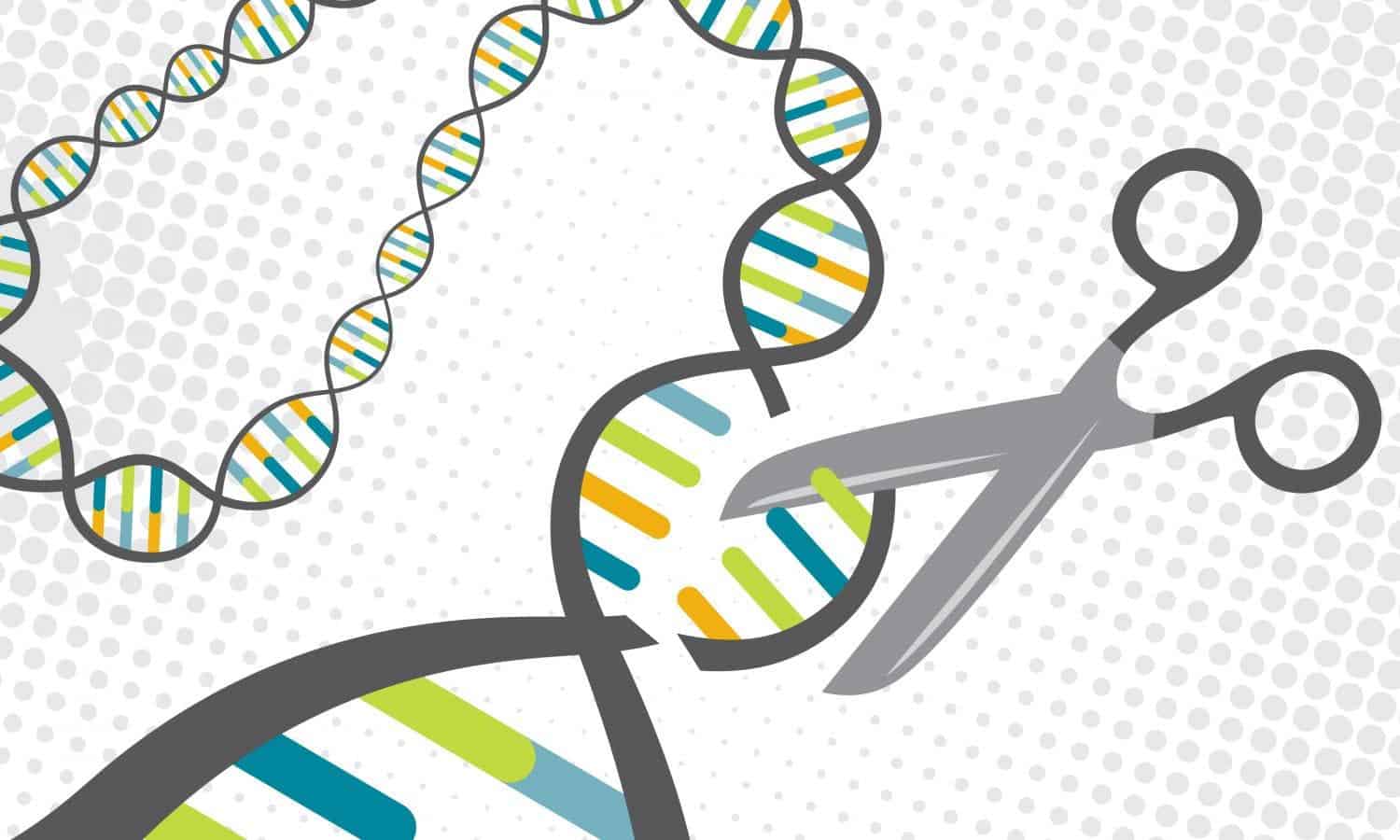 A CRISPR protein targets specific sections of DNA and cuts them. Credit: Univ. of Texas at Austin.
