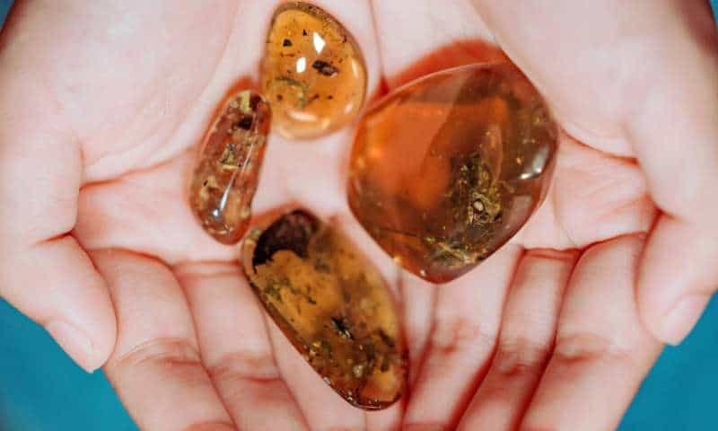 These 99-million-year-old amber fossils provide the earliest direct evidence of frogs living in wet, tropical forests. Credit: Lida Xing/China University of Geosciences.