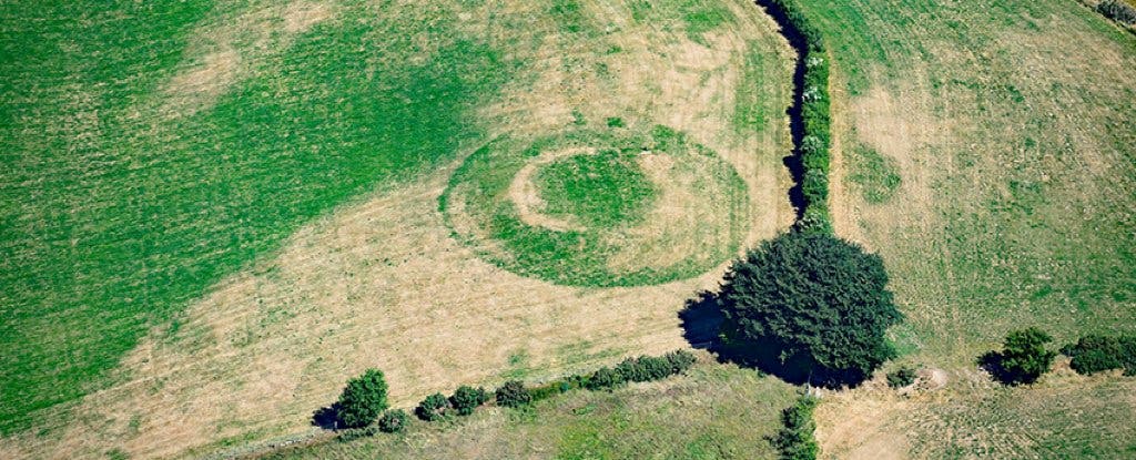 These crop marks indicate the location of an ancient settlement. Image credits: Toby Driver/RCAHMW.