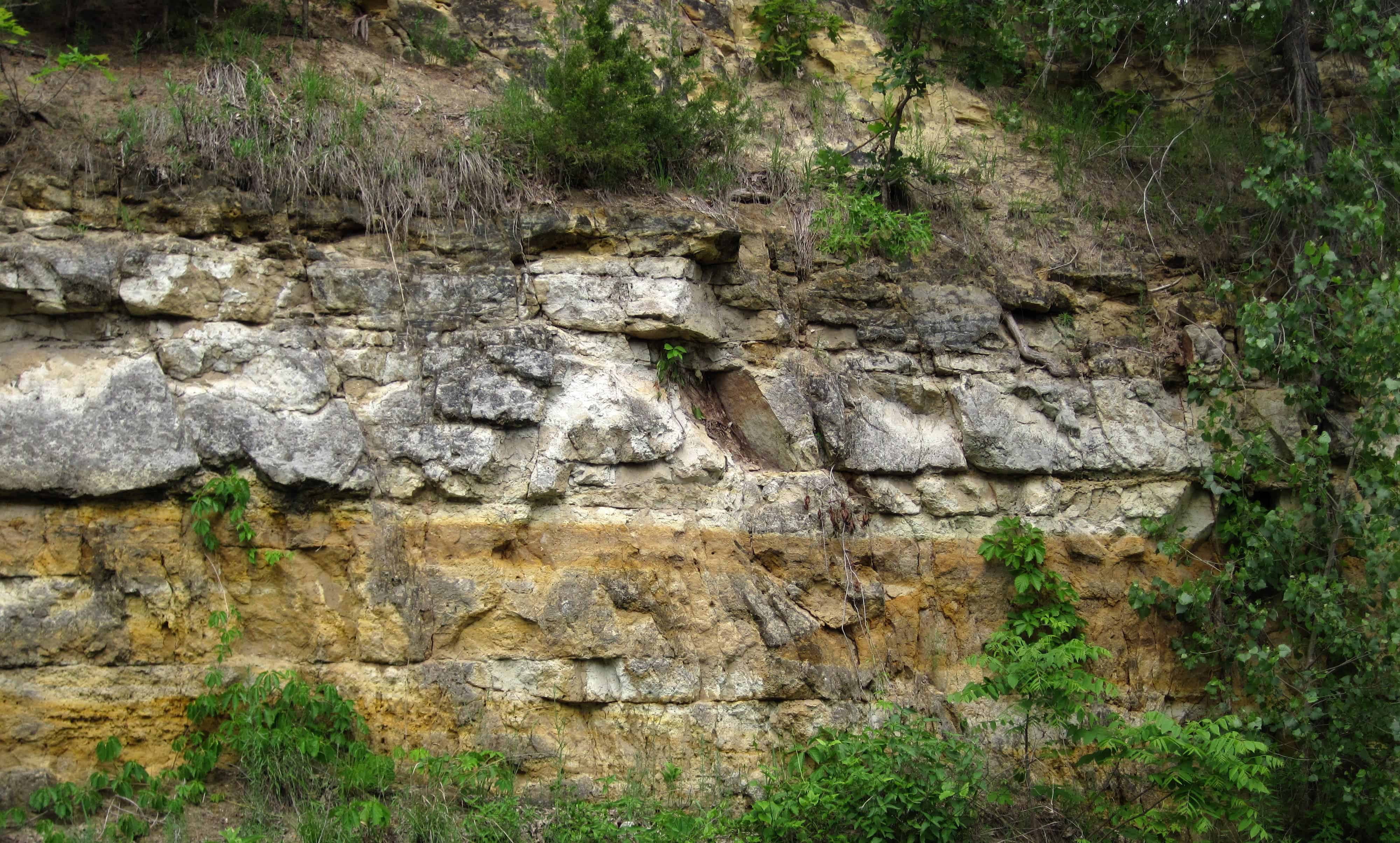 Cambrian rocks.