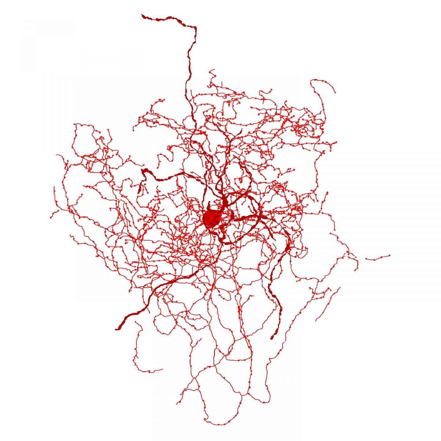 Digital reconstruction of a rosehip neuron in the human brain. Credit: Tamas Lab, University of Szeged.