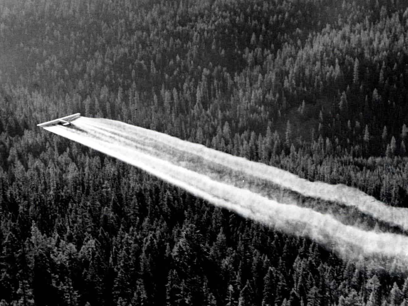 An airplane spraying DDT over Baker County, Oregon as part of a spruce budworm control project, 1955. Credit: Wikimedia Commons.