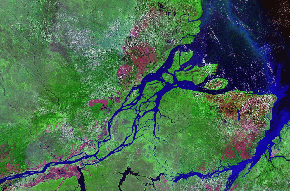 Amazon Estuary.