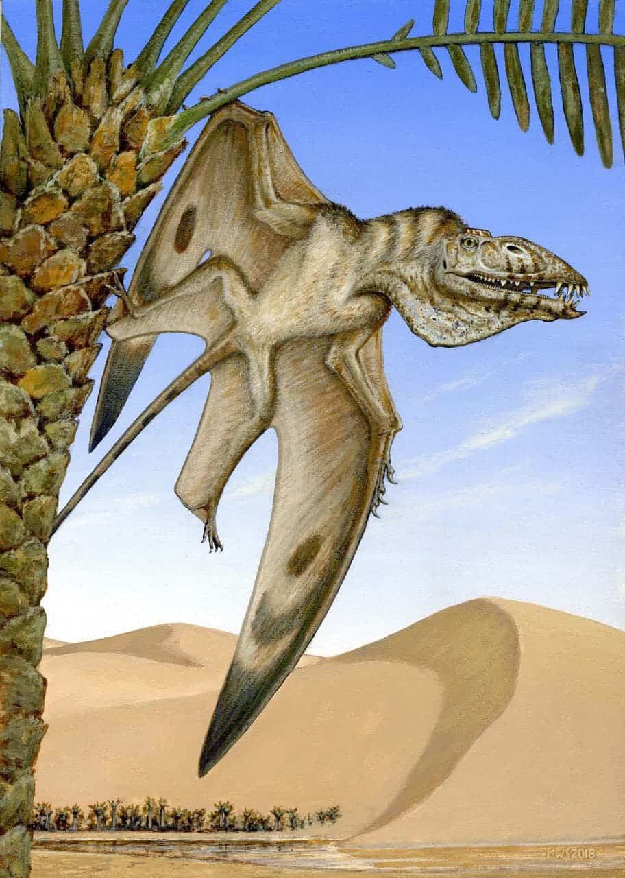 An artist's impression of a newly discovered pterosaur species. Credit: Michael W. Skrepnick.