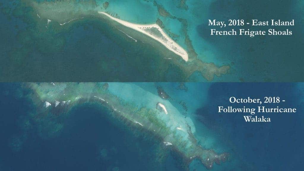 Frighting satellite imagery of East Island site before and after the hurricane hit. Credit: Chip Fletcher.