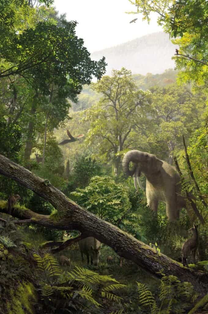 What the Miopetaurista neogrivensis' environment might have looked like almost 12 million years ago, just 50km away from Barcelona, Spain. Credit: Oscar Sanisidro.