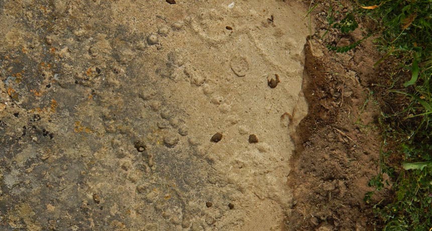 A dot pattern chiseled on stone at a Eurasian rock-shelter indicates that an ancient Near Eastern game called 58 holes quickly spread to a distant herding population, a scientist says. Image credits: W. Crist / Gobustan State Historical and Cultural Preserve.