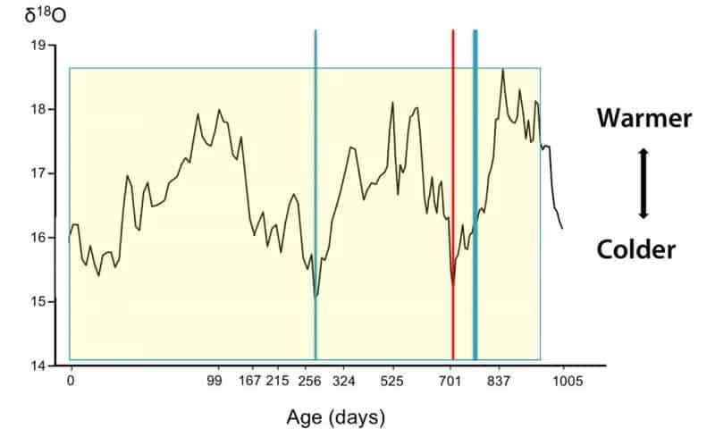 A 250,000-year-old Neanderthal tooth yields an unprecedented record of the seasons of birth (age 0), nursing (yellow box), illness (red line) and lead exposures (blue lines) over the first 2.8 years of this child’s life. Oxygen isotope values sampled on a weekly basis are shown as a ratio of heavy to light variants. Credit: Smith et al, Science Advances.