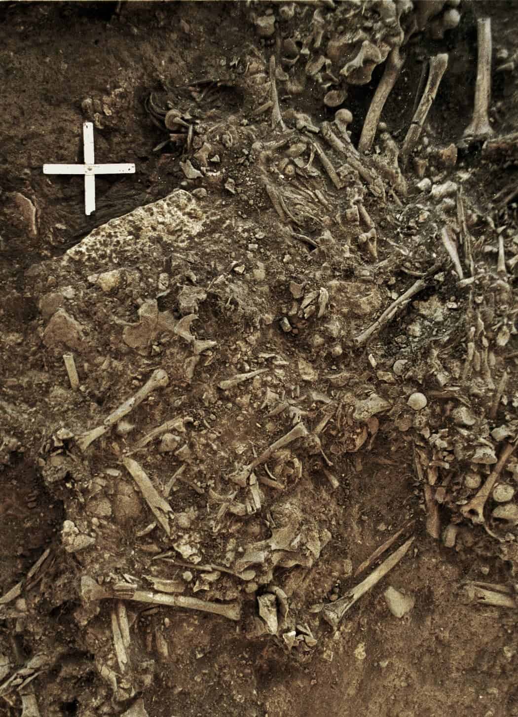 Photo showing the remains of a 20-year old woman from around 4,900 years ago, who was killed by the first plague pandemic. Credit: Karl-Göran Sjögren.