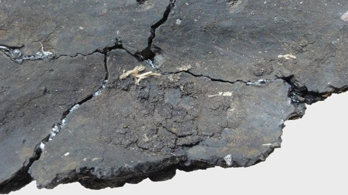 An ancient clay cooking pot was encrusted with food remnants that included proteins found in fish eggs. Credit: A. Shevchenko et al.