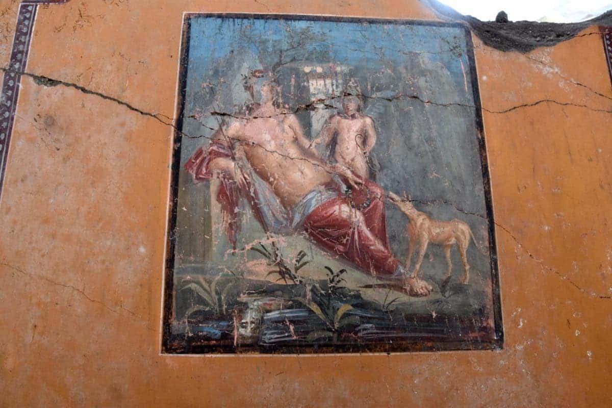 Fresco of Narcissus found hidden in Pompeii behind layers of ash.