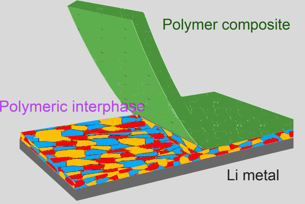 A reactive polymer composite, picturing the electrochemical interface between lithium metal anode and electrolyte is stabilized by the use of a reactive polymer composite. Credit: DONGHAI WANG.