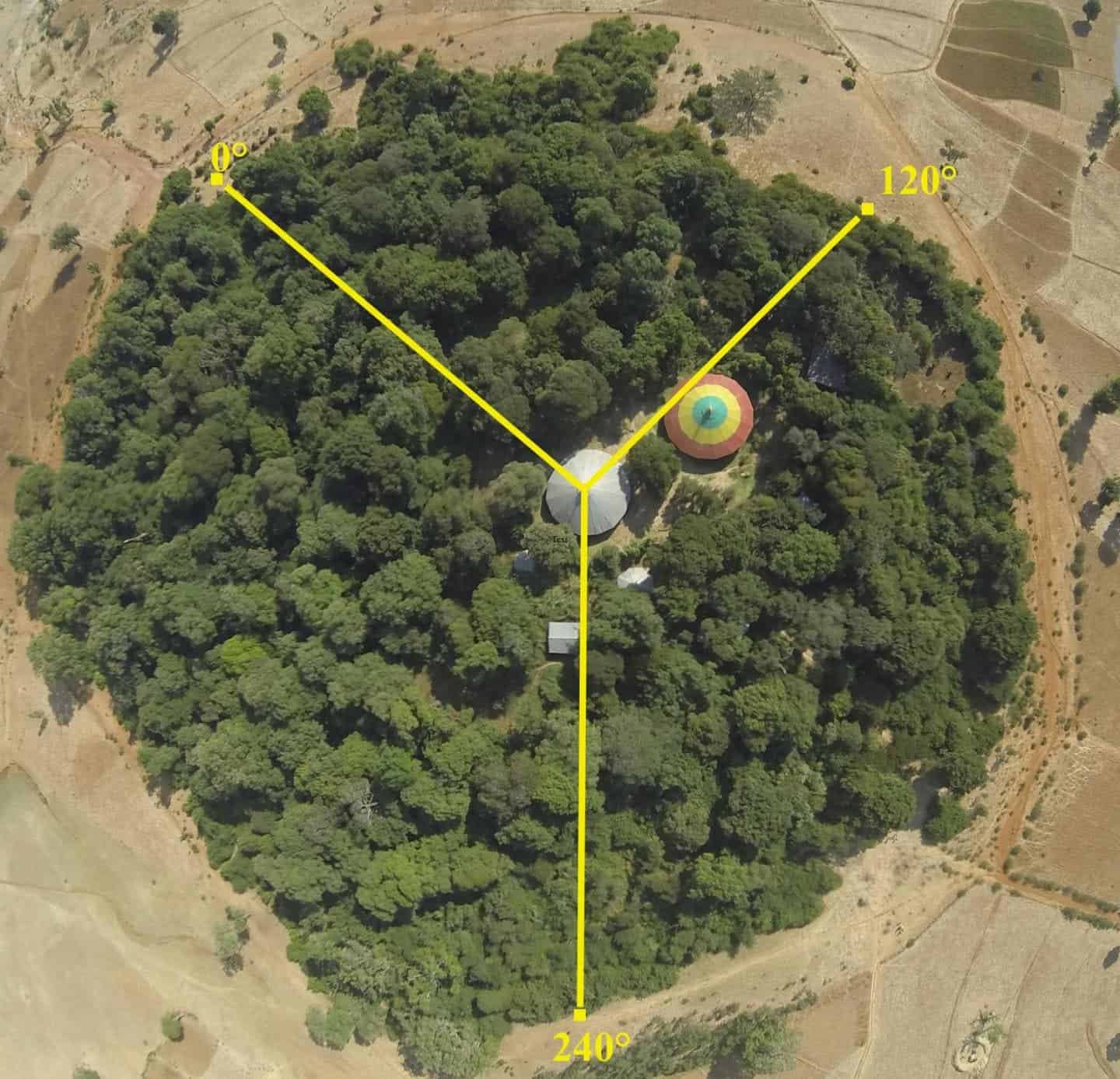 Church forest with transect design for the quantification of plant species richness, density. Image credits: Catherine Cardelús.