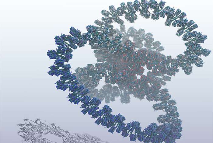 The atomic model of an entire human gene. Credit: Los Alamos National Laboratory.