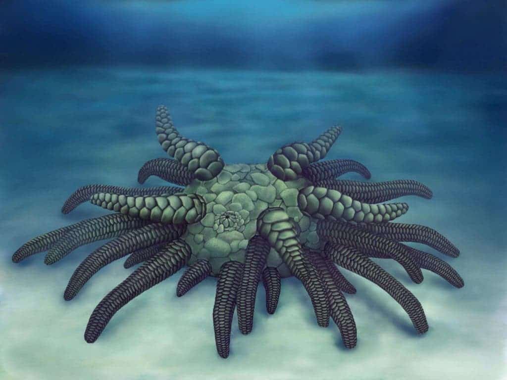 Artist impression of Sollasina cthulhu. Credit: Elissa Martin, Yale Peabody Museum of Natural History.