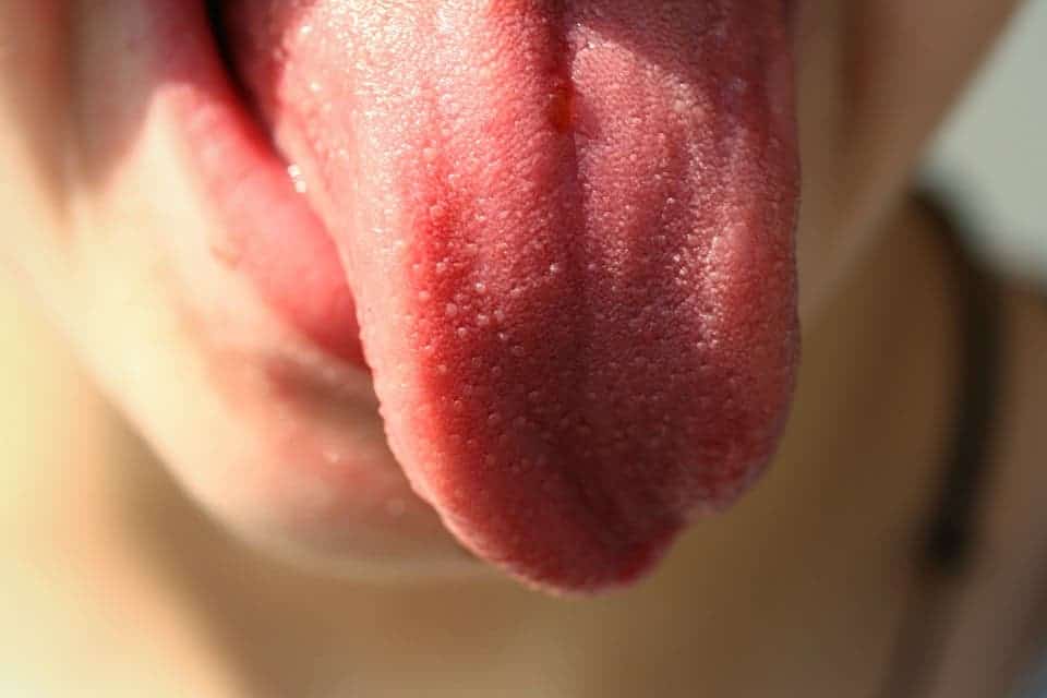 Tongue.