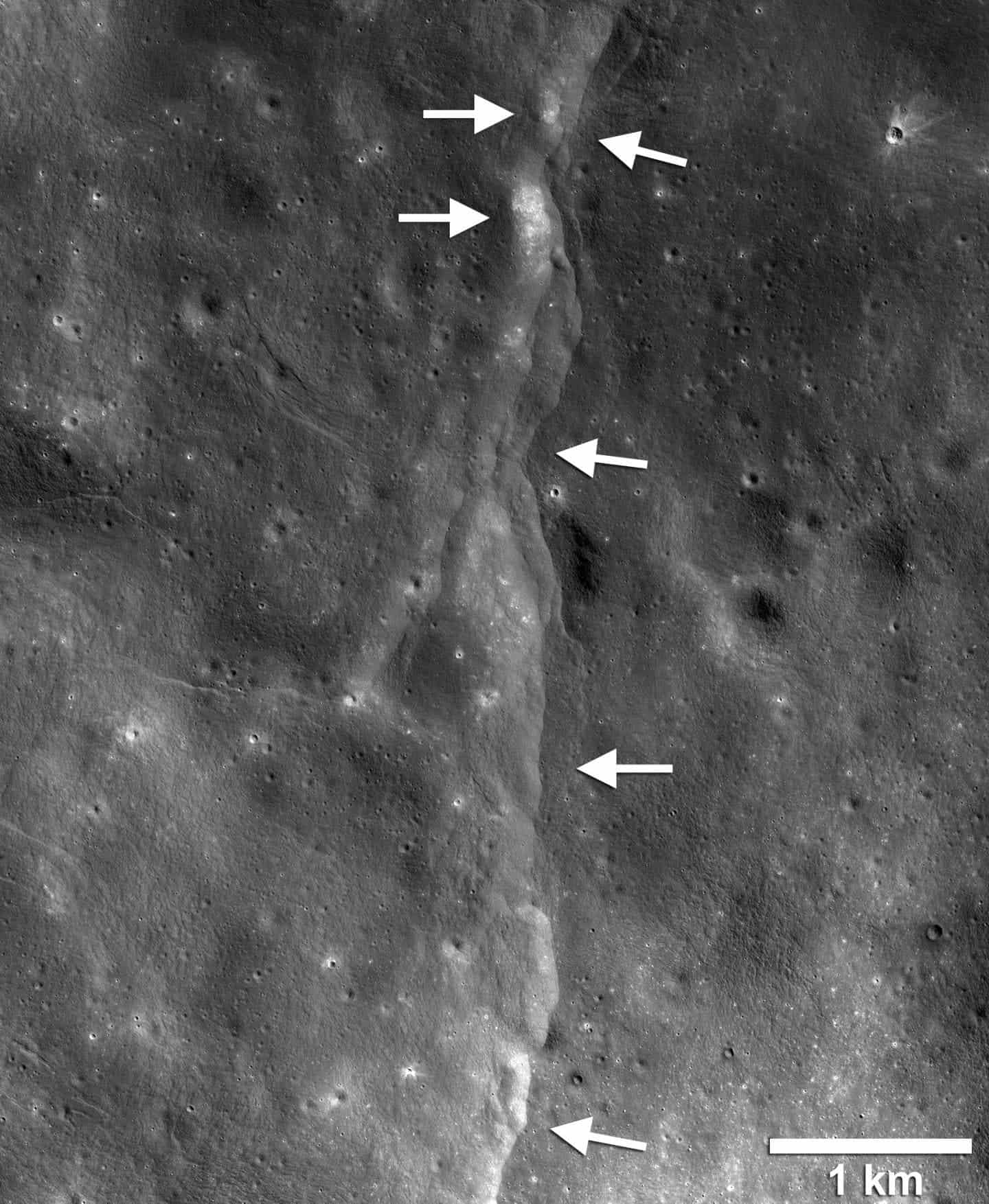 This prominent thrust fault is one of thousands discovered on the moon by NASA's Lunar Reconnaissance Orbiter (LRO). New research suggests that these faults may still be active today, producing moonquakes. Credit: NASA/GSFC/Arizona State University/Smithsonian.
