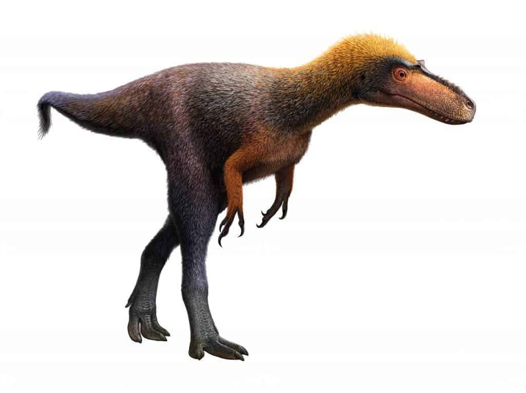 Reconstruction of the tyrannosauroid Suskityrannus hazelae from the Late Cretaceous (~92 million years ago) in current day New Mexico.