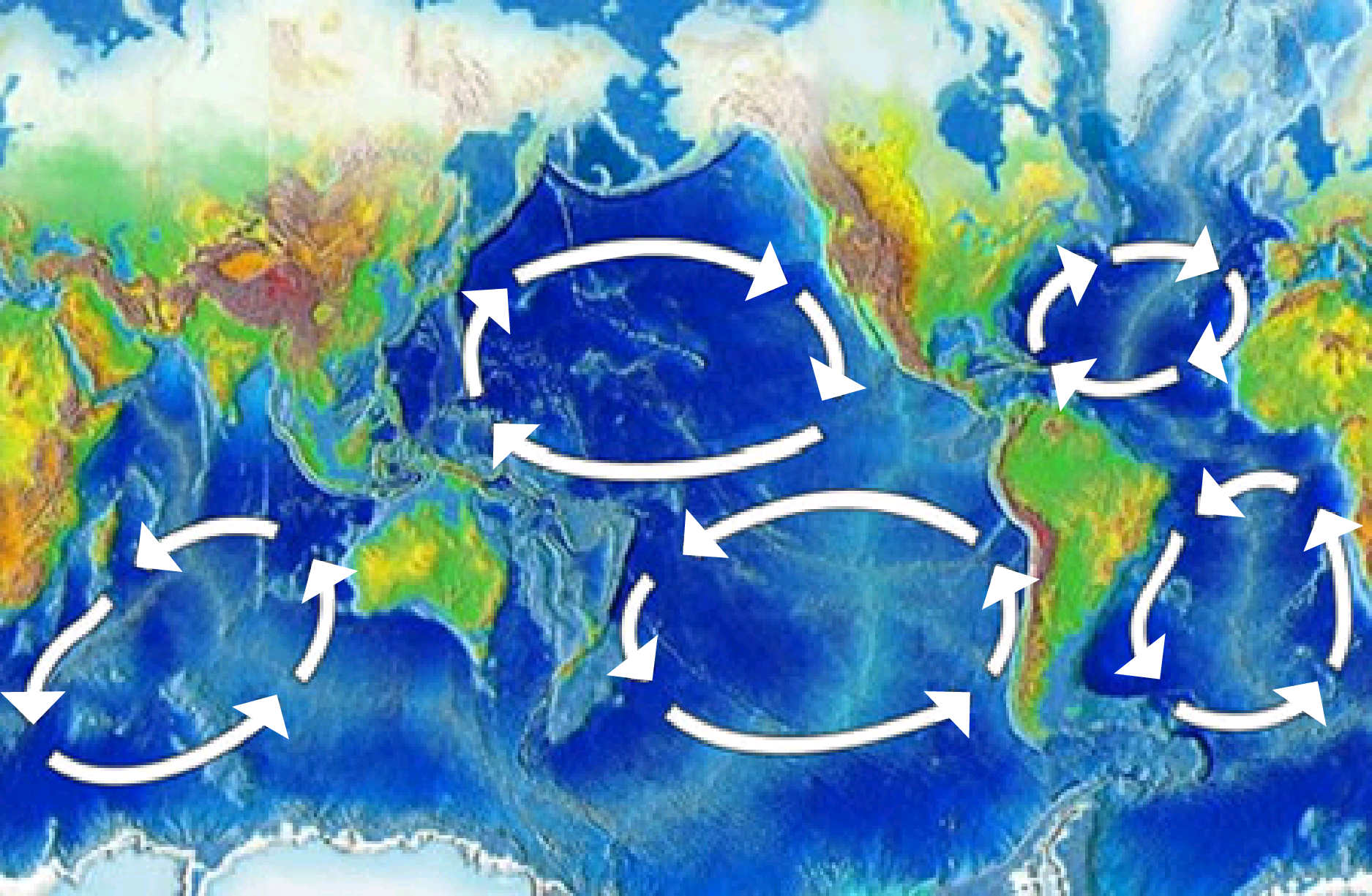 The five major ocean-wide gyres — the North Atlantic, South Atlantic, North Pacific, South Pacific, and Indian Ocean gyres.