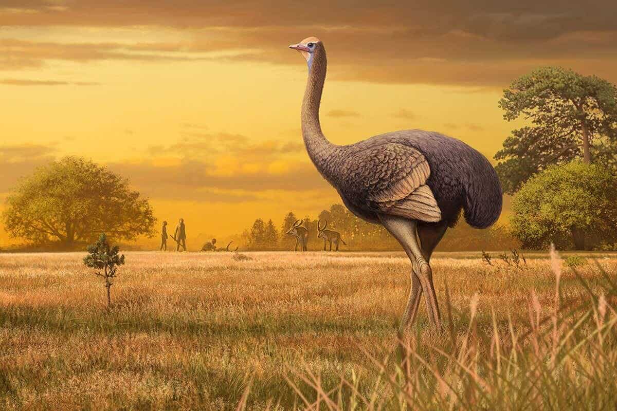 Artist impression of the giant bird found in Crimea. Credit: Andrey Atuchin.