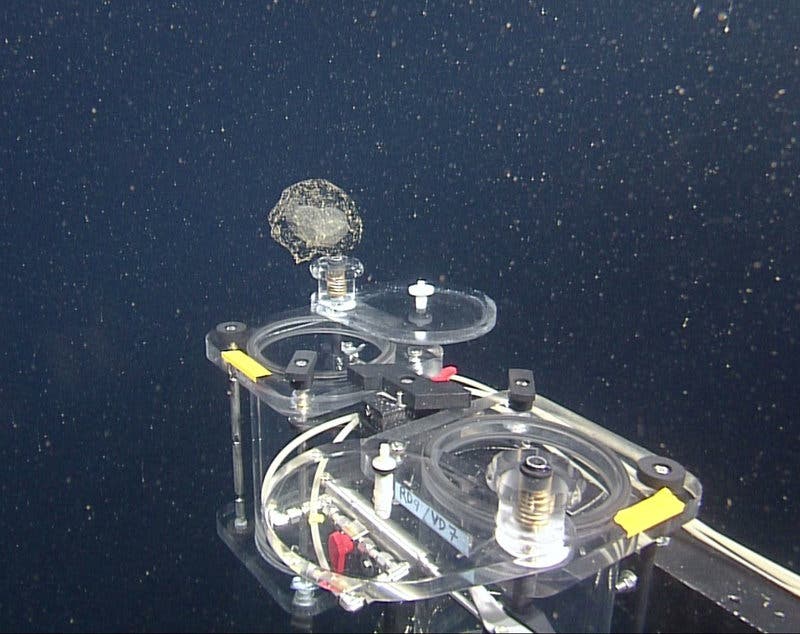 The Ventana is traveling up to 3,000 feet deep into the Monterey Bay in California, taking samples from sea creatures like larvaceans. Image credits: Monterey Bay Aquarium Research Institute.