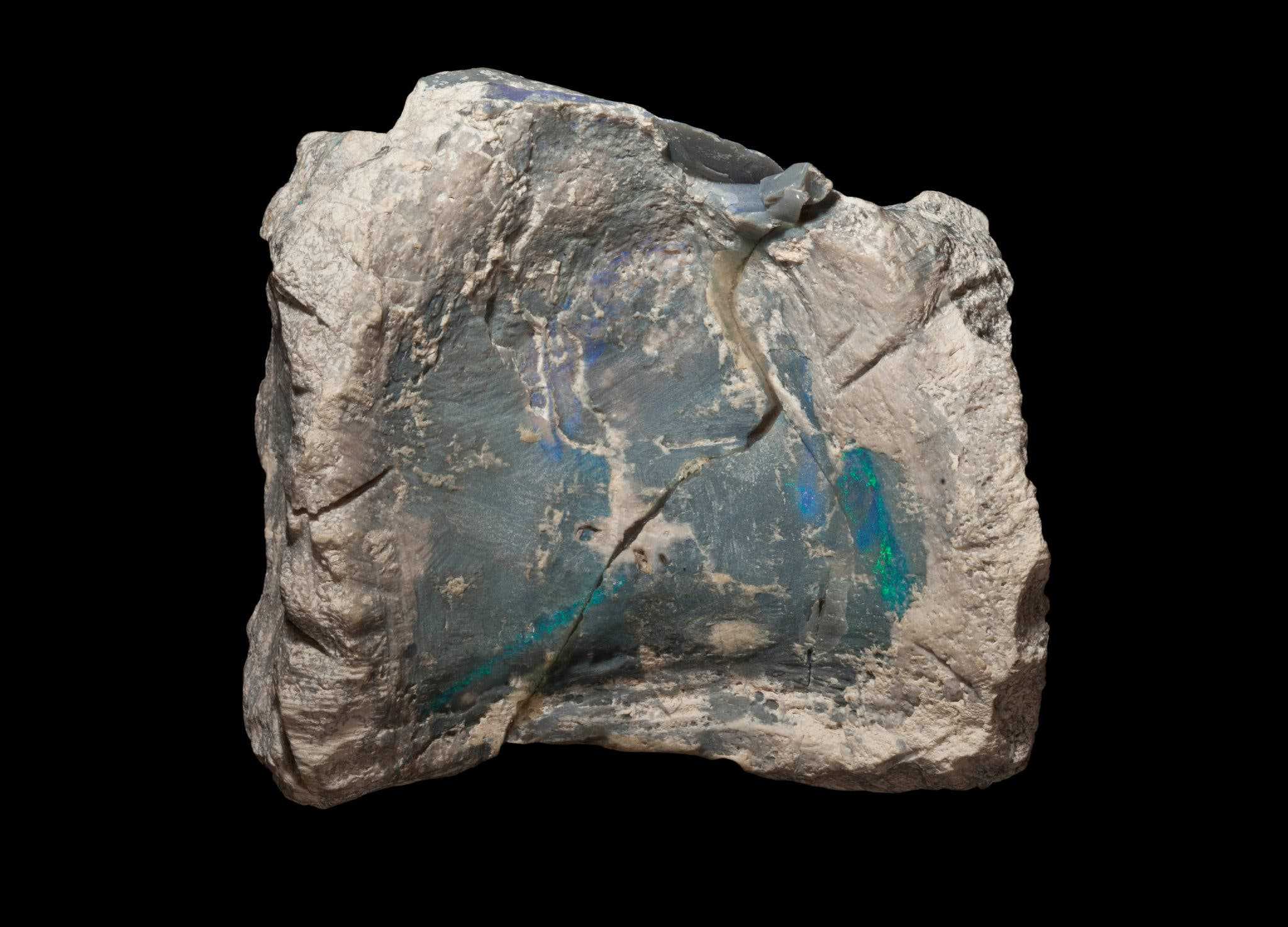 One of the back bones of Fostoria found in gemstones.Credit: Robert A. Smith, Australian Opal Center.