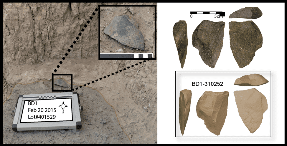 A large green artifact found in situ at the Bokol Dora site. Right: Image of the same artifact and a three dimensional model of the same artifact. David R. Braun.
