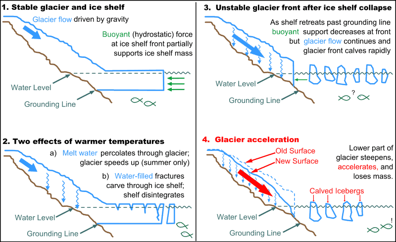 Glacier shelf interaction.