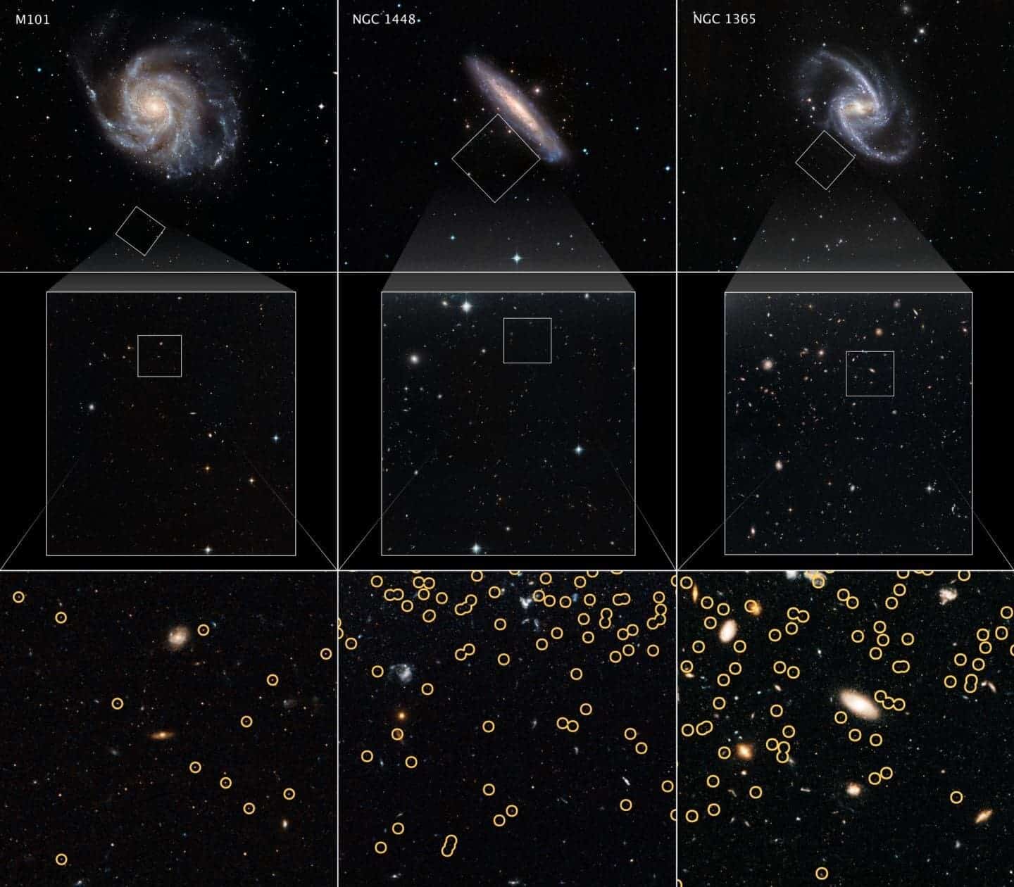 These galaxies are selected from a Hubble Space Telescope program to measure the expansion rate of the universe, called the Hubble constant. The value is calculated by comparing the galaxies' distances to the apparent rate of recession away from Earth (due to the relativistic effects of expanding space). By comparing the apparent brightnesses of the galaxies' red giant stars with nearby red giants, whose distances were measured with other methods, astronomers are able to determine how far away each of the host galaxies are. This is possible because red giants are reliable milepost markers because they all reach the same peak brightness in their late evolution. And, this can be used as a 