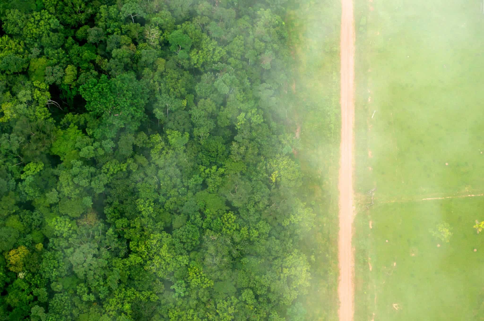 A bird's eye view of the stark contrast between the forest and agricultural landscapes near Rio Branco, Acre, Brazil.   Photo by Kate Evans/CIFOR   cifor.org  blog.cifor.org  If you use one of our photos, please credit it accordingly and let us know. You can reach us through our Flickr account or at: cifor-mediainfo@cgiar.org and m.edliadi@cgiar.org