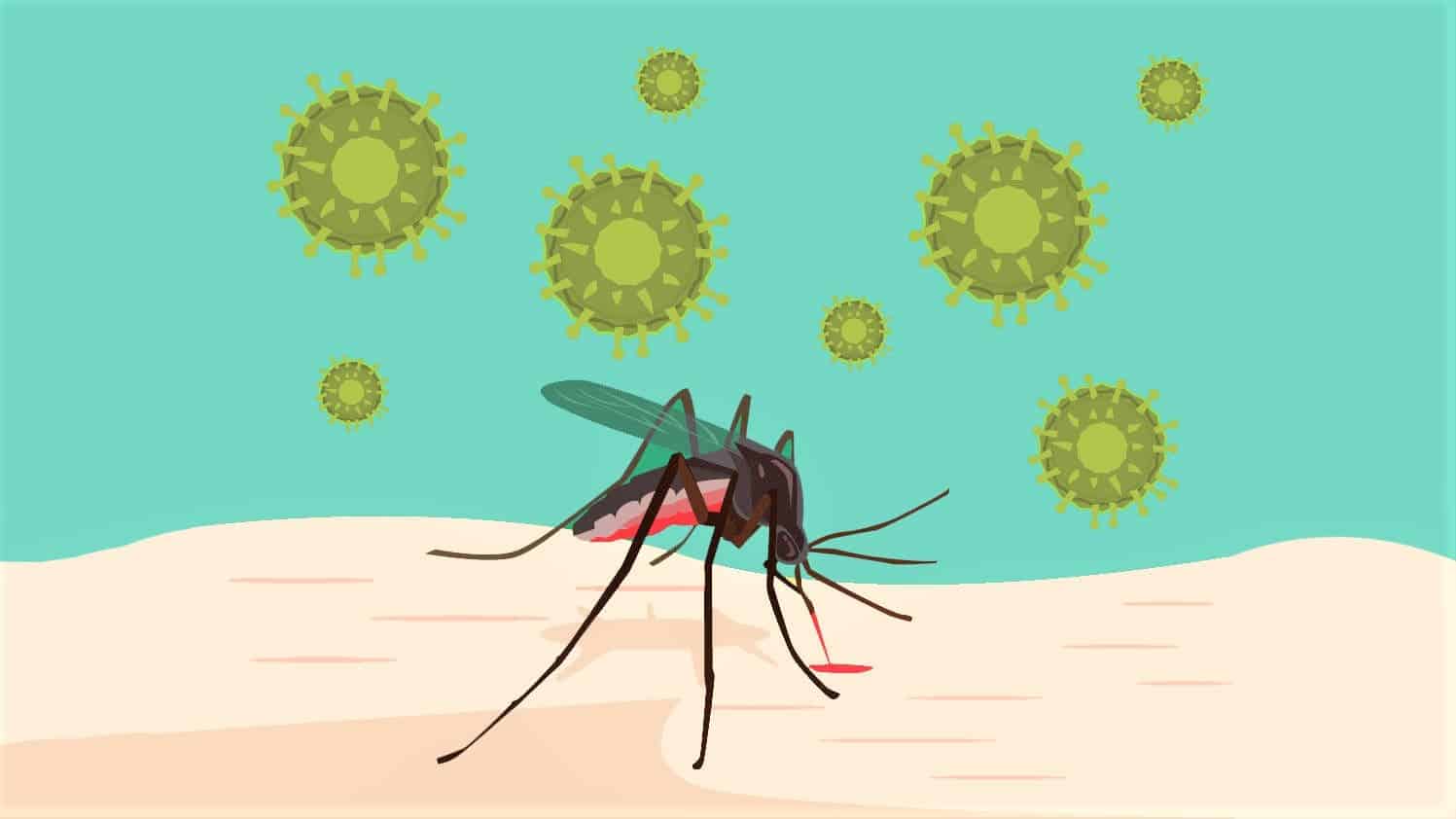 Malaria eradication possible, but not with current tools