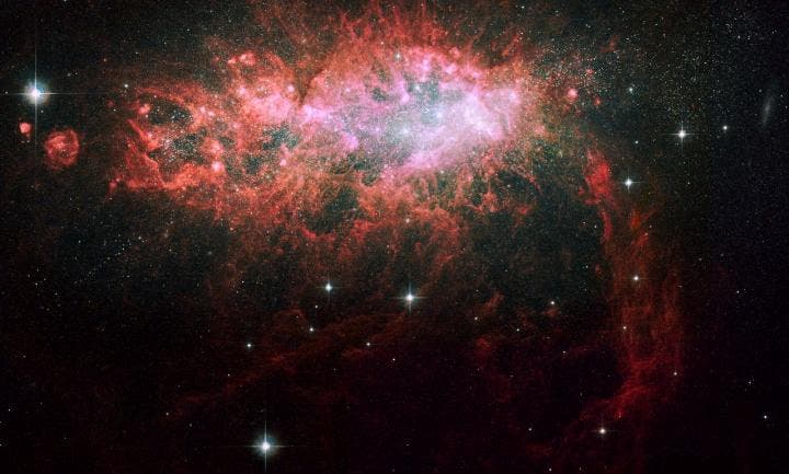 NGC1569 is a star-forming galaxy. Galaxies such as this could see their star formation rates affected by strong winds emanating from a central black hole. (HST/NASA/ESA)