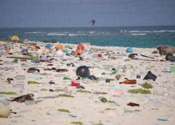 Marine debris that was washed ashore covers a beach on Laysan Island in the Hawaiian Islands National Wildlife Refuge. (Susan White/USFWS)