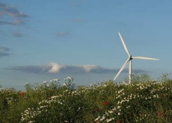 Landscape Wind Turbine Summer Natural Denmark