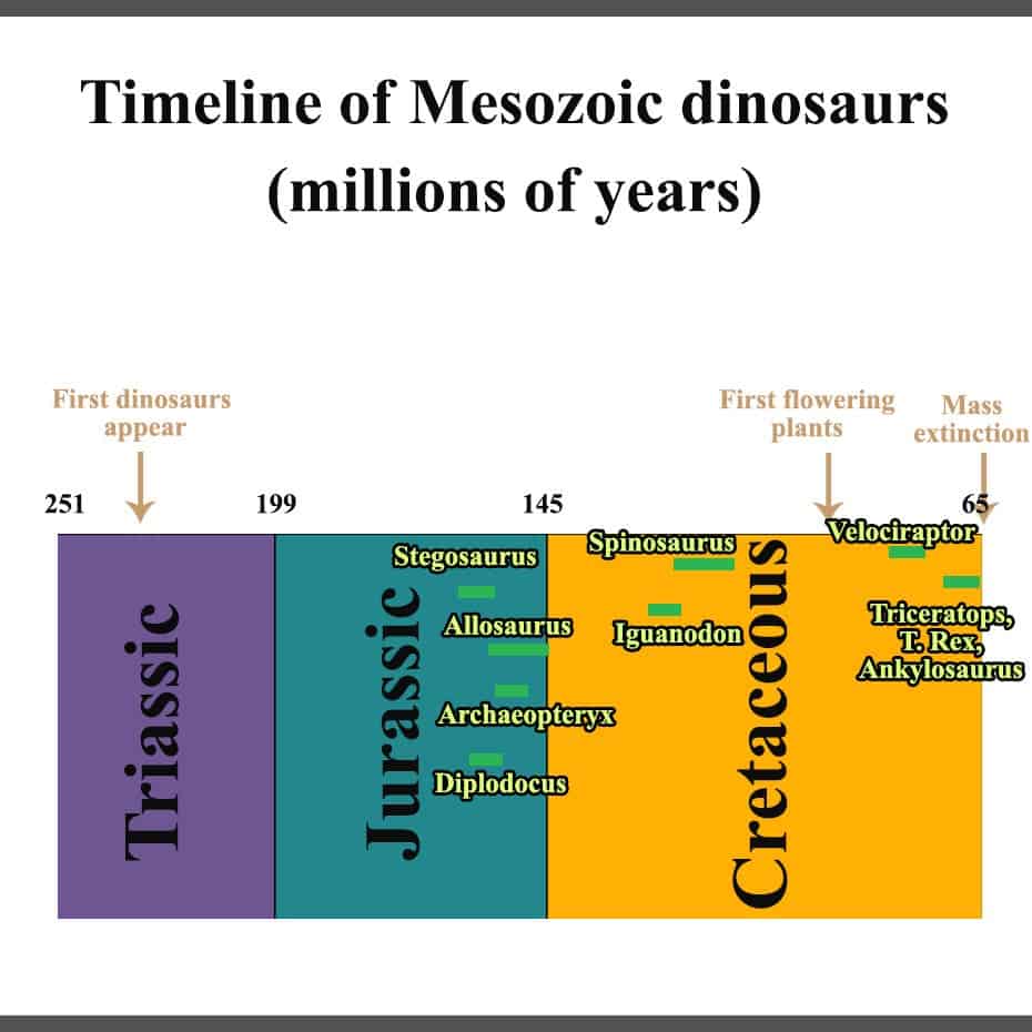 Mesozoic dinosaurs
