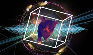 The tale of physics’ most famous cat is one that is familiar to many, but what is the inside story of the feline so demanding it requires its own Universe, and how does it illustrate the 'weirdness' of the quantum world?