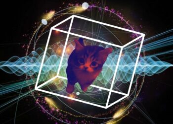 The tale of physics’ most famous cat is one that is familiar to many, but what is the inside story of the feline so demanding it requires its own Universe, and how does it illustrate the 'weirdness' of the quantum world?
