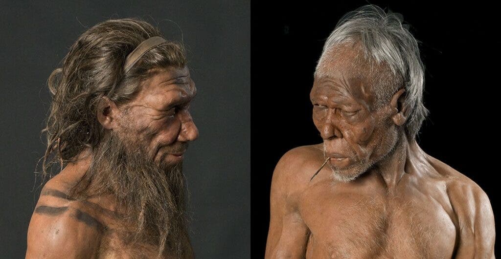 The Oldest Human Fossils in the World