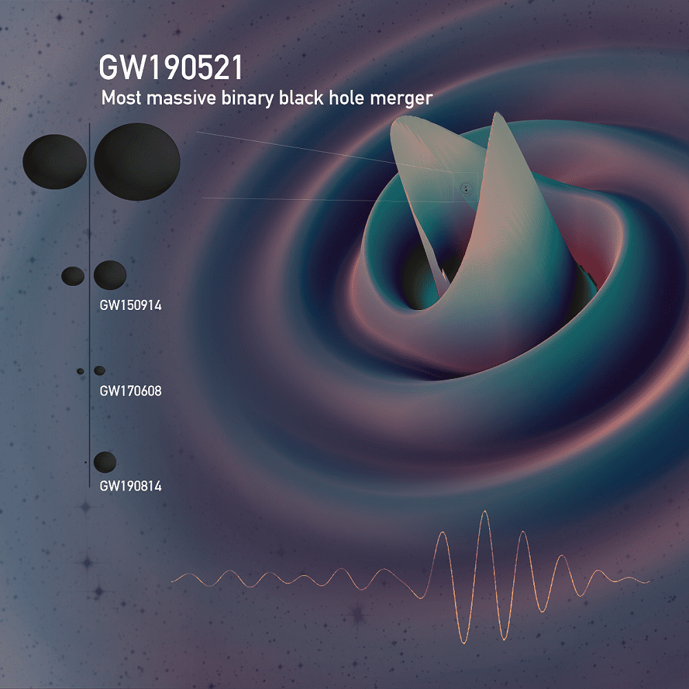 A still from a numerical relativity simulation for GW190521 showing the gravitational waves emitted just before merger, overlaid with the signal as observed by the detectors. This is the largest binary system yet detected as shown by the horizons of this event compared to several previous events. (EPO)