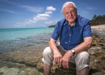 Photograph of Sir David Attenborough seated at the Great Barrier Reef, taken for his Great Barrier Reef series. Credit: 2015, Wikimedia Commons.