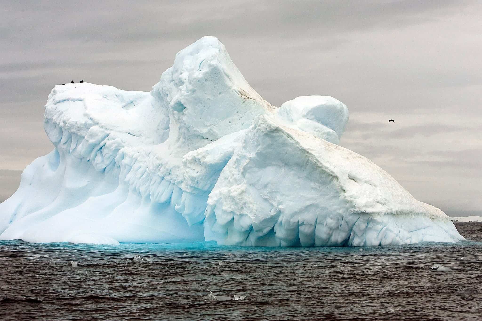10 самых больших ледников. Шельфовый ледник Беллинсгаузена. Шельфовые айсберги. Ледники айсберги Антарктиды. Снежная глыба.