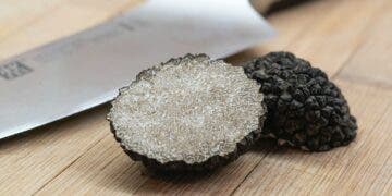 why truffles expensive