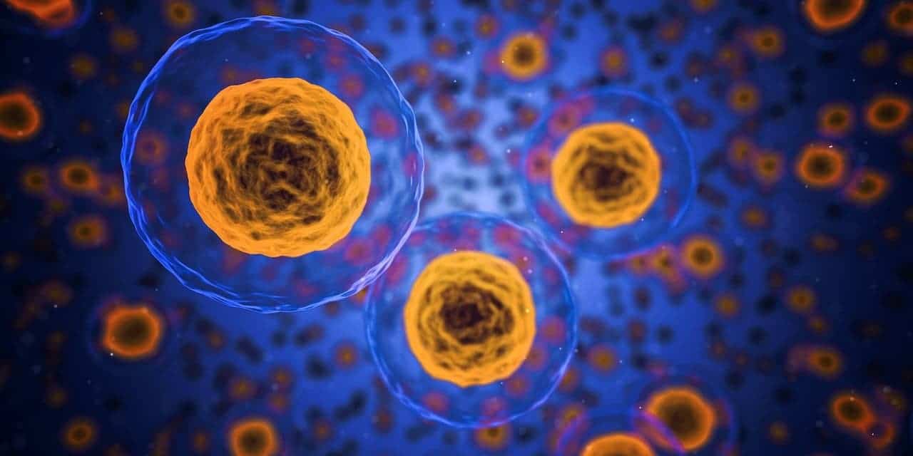 Turning again time. Scientists reverse ageing in human cells by 30 years